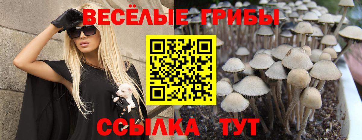 Галлюциногенные грибы Cubensis Туапсе
